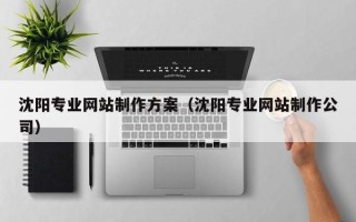 呼和浩特沈阳专业网站制作方案（沈阳专业网站制作公司）